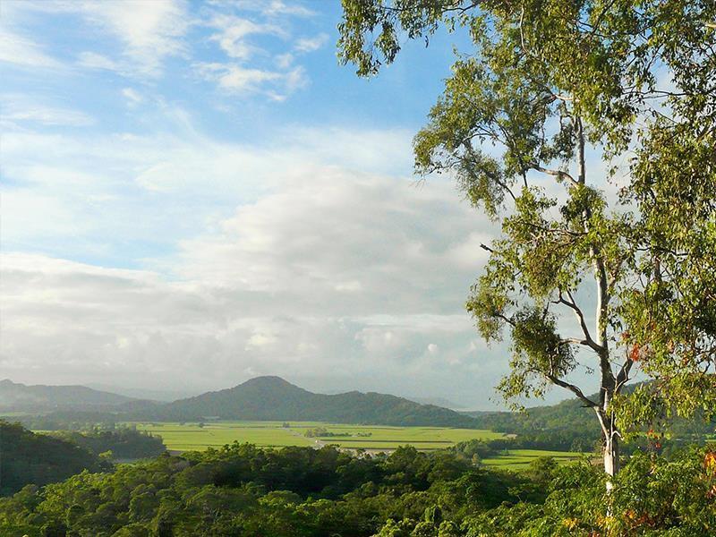 Mai Tai Resort Cassowary Eksteriør bilde