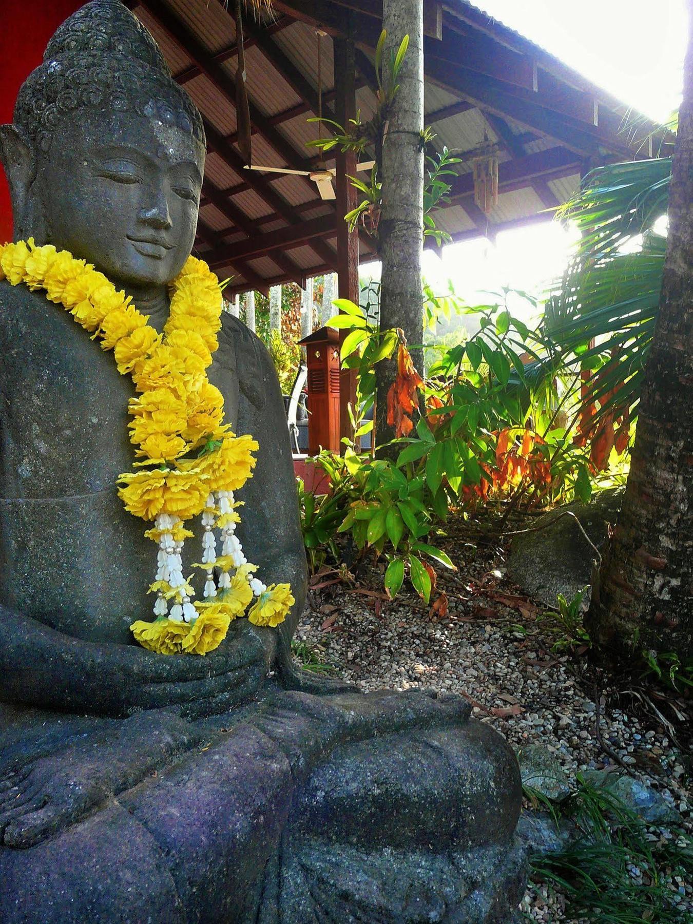 Mai Tai Resort Cassowary Eksteriør bilde